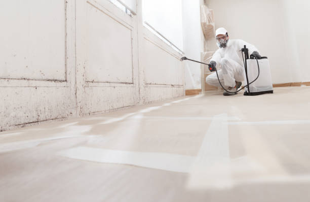 24/7 Emergency Mold Remediation experts in Franklin, NJ