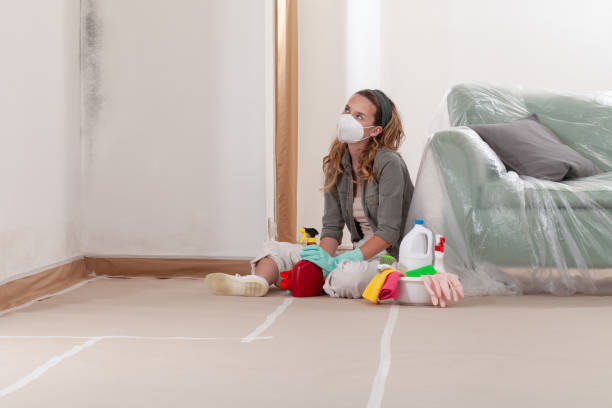 Reliable Mold Remediation contractor in Franklin, NJ by Mold Remediation HQ